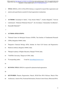 DDX24, a D-E-A-D Box RNA Helicase, Is Required for Muscle Fiber Organization And