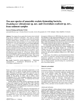 Two New Species of Anaerobic Oxalate-Fermenting Bacteria, Oxalobacter Vibrioformis Sp