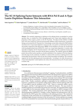 The SC-35 Splicing Factor Interacts with RNA Pol II and A-Type Lamin Depletion Weakens This Interaction