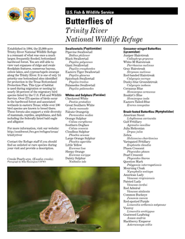 Butterflies of Trinity River National Wildlife Refuge