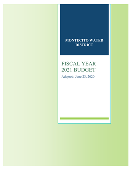 FISCAL YEAR 2021 BUDGET Adopted: June 23, 2020