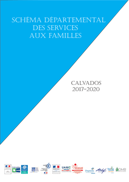 Schéma Départemental Des Services Aux Familles