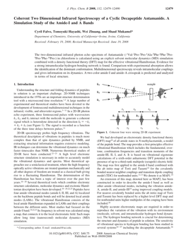 Coherent Two Dimensional Infrared Spectroscopy of a Cyclic Decapeptide Antamanide