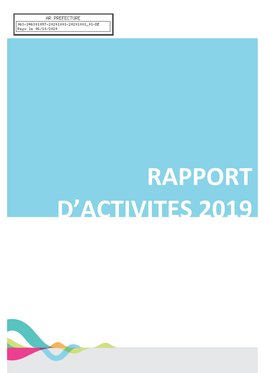 Rapport D'activites 2019