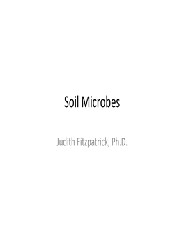 Soil Microbes