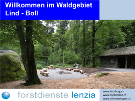 Willkommen Im Waldgebiet Lind - Boll