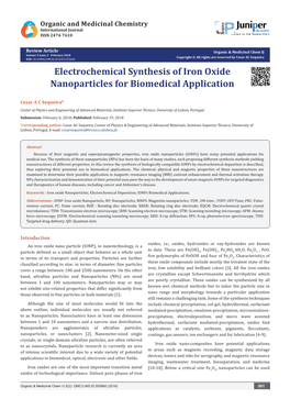 Electrochemical Synthesis of Iron Oxide Nanoparticles for Biomedical Application