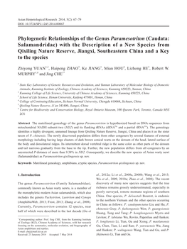 Phylogenetic Relationships of The