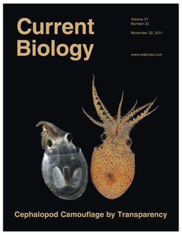 (2011). Mesopelagic Cephalopods Switch Between Transparency and Brighton BN1 9QG, UK