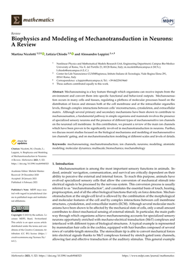 Biophysics and Modeling of Mechanotransduction in Neurons: a Review