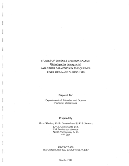 STUDIES of JUVENILE CHINOOK SALMON (Oncorhynchus Tsha Wytscha) and OTHER SALMONIDS in the QUESNEL RIVER DRAINAGE DURING 1980
