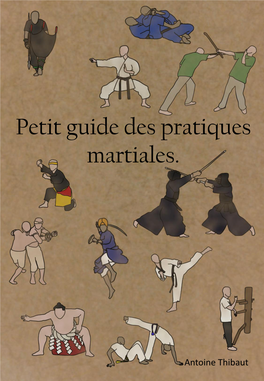 Petit Guide Des Pratiques Martiales