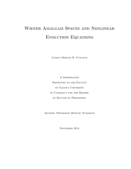 Wiener Amalgam Spaces and Nonlinear Evolution Equations