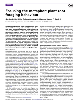 Focusing the Metaphor: Plant Root Foraging Behaviour