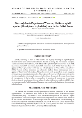 Macrosiphoniella Pulvera (Walker, 1848) an Aphid Species (Hemiptera: Aphididae) New to the Polish Fauna