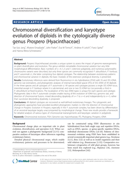 Chromosomal Diversification and Karyotype Evolution of Diploids in the Cytologically Diverse Genus Prospero (Hyacinthaceae)
