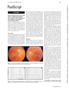 LETTERS and Iris Hypoplasia