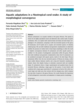 Aquatic Adaptations in a Neotropical Coral Snake: a Study of Morphological Convergence
