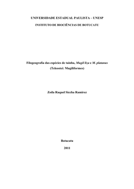 UNESP Filogeografia Das Espécies De Tainha, Mugil Liza E M. Platanus