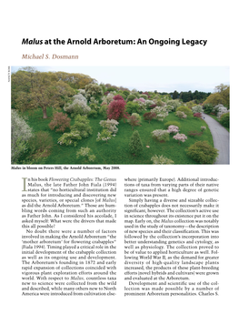 Malus at the Arnold Arboretum: an Ongoing Legacy