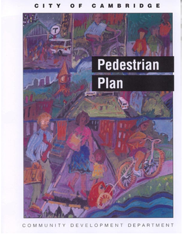 Pedestrian Plan