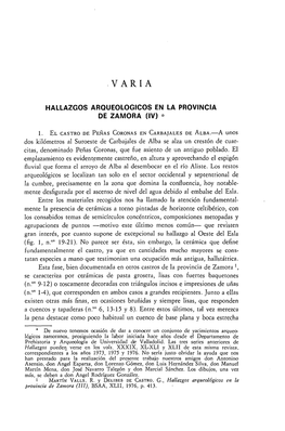 Hallazgos Arqueológicos En La Provincia De Zamora (IV)