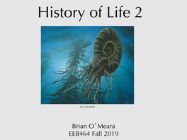 History of Life 2