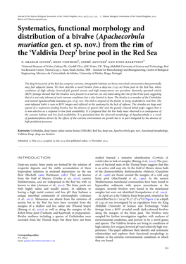 Systematics, Functional Morphology and Distribution of a Bivalve (Apachecorbula Muriatica Gen