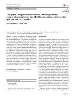 The Genus Dentipratulum (Russulales, Auriscalpiaceae): Comparative Morphology and SEM Imaging Spore Ornamentation Split One Into Three Species