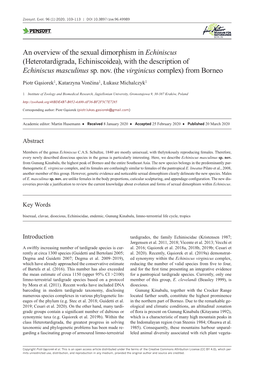 An Overview of the Sexual Dimorphism in Echiniscus (Heterotardigrada, Echiniscoidea), with the Description of Echiniscus Masculinus Sp