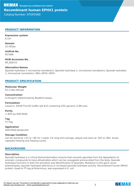 Recombinant Human EPHX1 Protein Catalog Number: ATGP2560