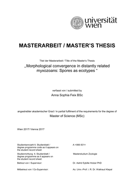 Masterarbeit / Master's Thesis