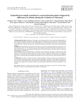 Scalariform-To-Simple Transition in Vessel Perforation Plates Triggered