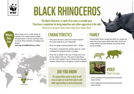 BLACK RHINOCEROS the Black Rhinoceros; in Spite of Its Name Is Actually Grey