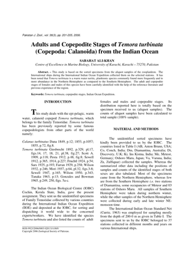 Adults and Copepodite Stages of Temora Turbinata (Copepoda: Calanoida) from the Indian Ocean