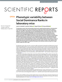 Phenotypic Variability Between Social Dominance Ranks in Laboratory Mice Received: 14 August 2017 Justin A