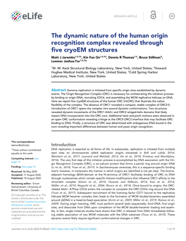 The Dynamic Nature of the Human Origin Recognition Complex Revealed