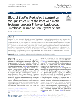 Effect of Bacillus Thuringiensis Kurstaki on Mid-Gut Structure of the Beet Web Moth, Spoladea Recurvalis F