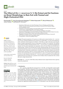 The Effect of Ilex Meserveae S. Y. Hu Extract and Its Fractions on Renal