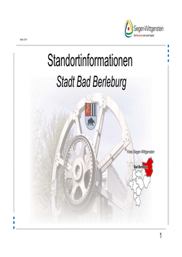 Standortinformationen Stadt Bad Berleburg