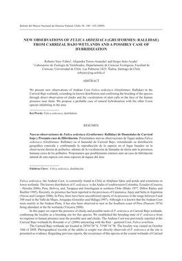 New Observations of Fulica Ardesiaca (Gruiformes: Rallidae) from Carrizal Bajo Wetlands and a Possibly Case of Hybridization