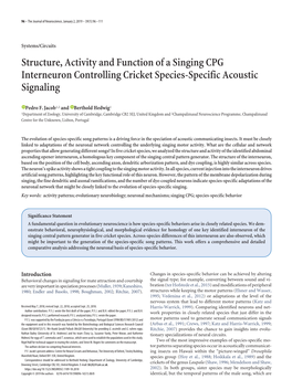 Structure, Activity and Function of a Singing CPG Interneuron Controlling Cricket Species-Specific Acoustic Signaling