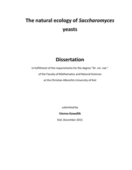 The Natural Ecology of Saccharomyces Yeasts