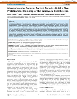 Microtubules in Bacteria: Ancient Tubulins Build a Five- Protofilament Homolog of the Eukaryotic Cytoskeleton