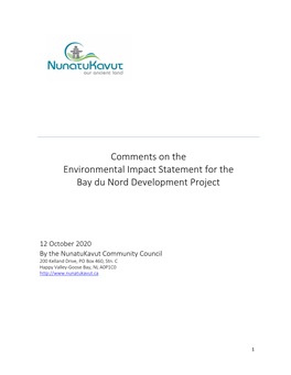 Comment on the Proposed Bay Du Nord Development Project