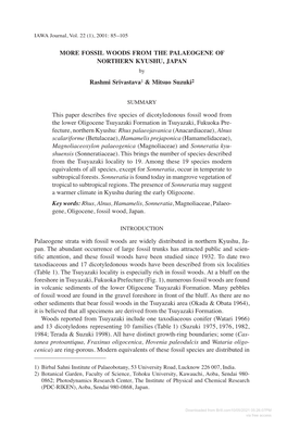 FOSSIL WOODS from the PALAEOGENE of NORTHERN KYUSHU, JAPAN Rashmi Srivastava1 & Mitsuo Suzuki2 This Paper Describes