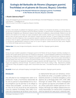 Ecología Del Barbudito De Páramo (Oxypogon Guerinii, Trochilidae) En