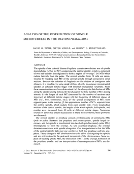 Analysis of the Distribution of Spindle Microtubules In