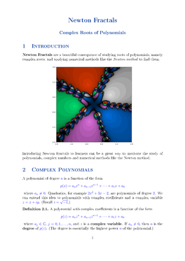 Newton Fractals