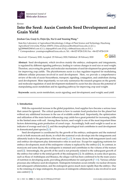 Auxin Controls Seed Development and Grain Yield